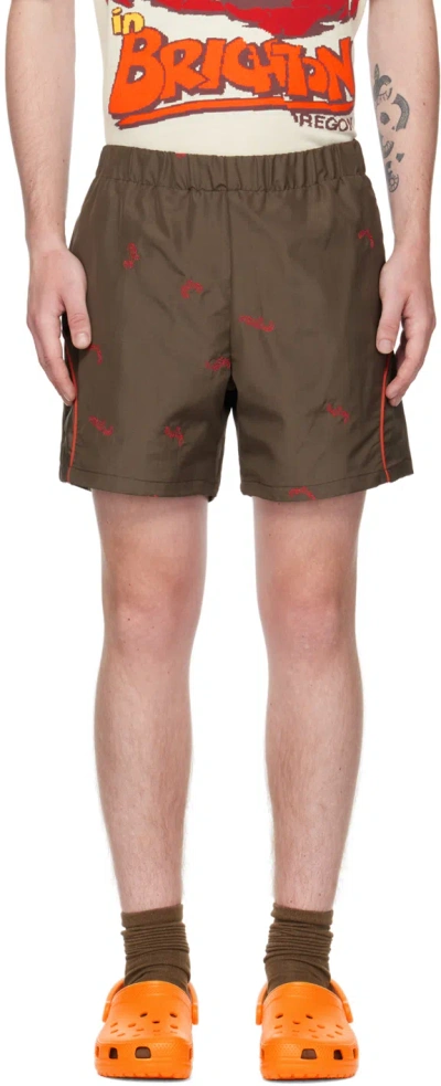 Robyn Lynch Brown Embroidered Shorts In 22676101 Brown