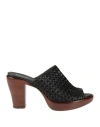 Rocco P . Woman Sandals Black Size 11 Leather In Black