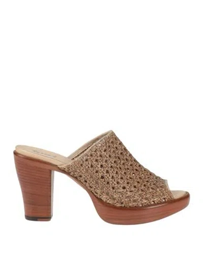 Rocco P . Woman Sandals Khaki Size 11 Leather In Beige