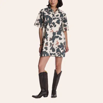 Rockin' C Women's Cow Print Western Mini Shirt Dress In Multi
