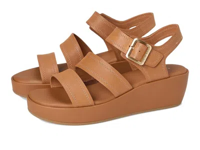 Rockport Anala In Brown