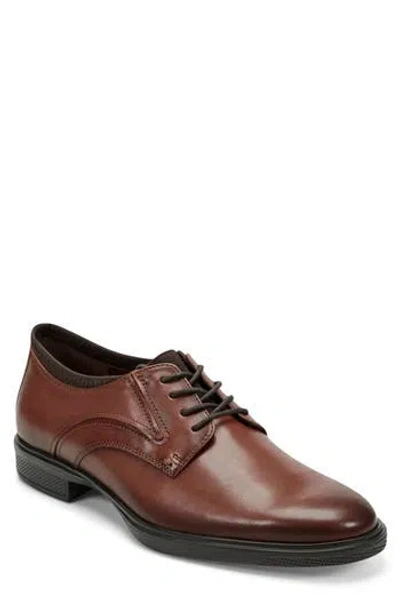 Rockport Keelan Plain Toe Derby In Brown