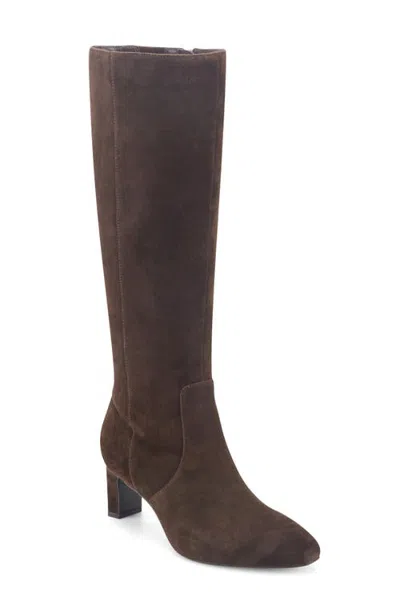 Rockport Mabel Tall Boot In Brown