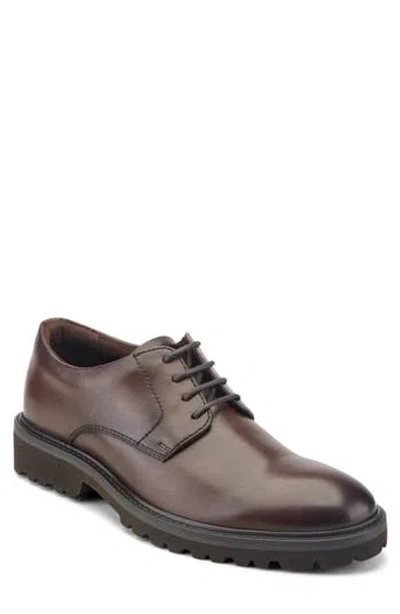 Rockport Max Leather Plain Toe Derby In Brown Leather
