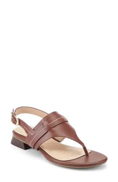 Rockport Ofera Slingback Sandal In Brown