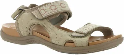 Rockport Women's Rubey Webbing Sandal In Dove
