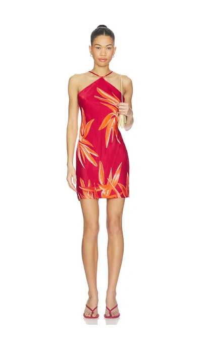 Rococo Sand Bias Halter Mini Dress In Red