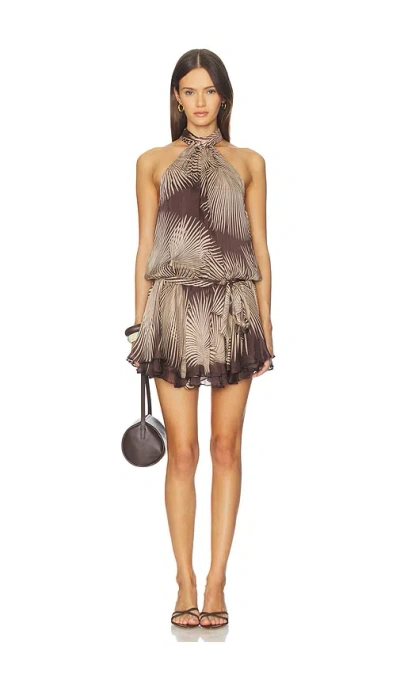Rococo Sand Mini Dress In Brown