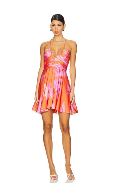 Rococo Sand Mini Dress In Orange