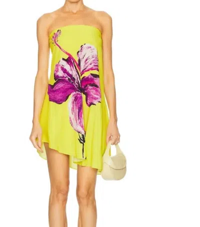 Rococo Sand Mini Dress In Multi