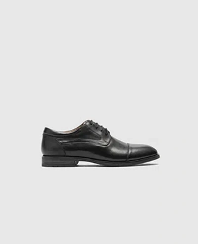 Rodd & Gunn Loburn Derby Shoe In Nero Multi