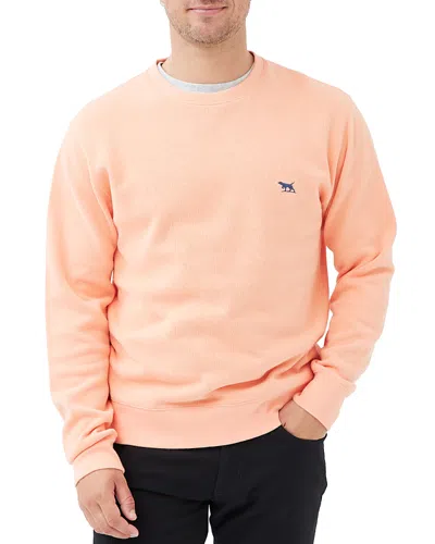Rodd & Gunn Gunn Crew Neck Sweat In Apricot