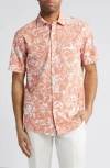 Rodd & Gunn Lanercost Cotton Printed Short Sleeve Shirt In Mandarin