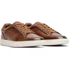 Rodd & Gunn Sussex Street Sneaker In Cognac