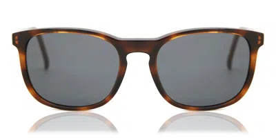 Rodenstock R3287 C Men's Sunglasses Tortoiseshell Size 55 In Brown