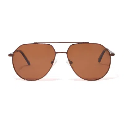 Roderer Edgar Aviator Polarized Sunglasses - Brown / Brown