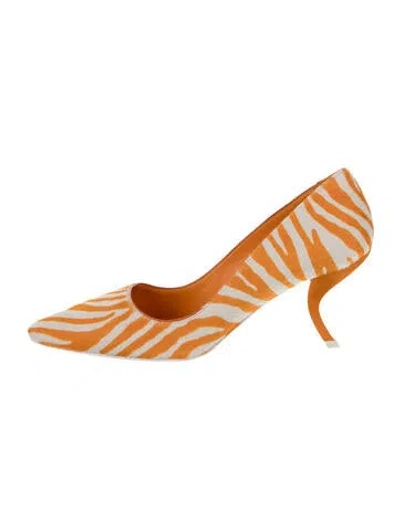 Pre-owned Roger Vivier Animal Print Pumps In Multi