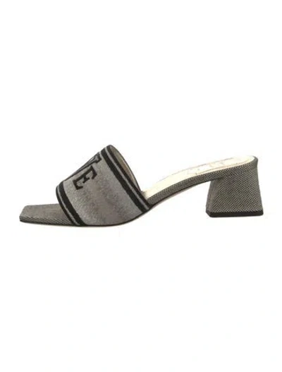 Pre-owned Roger Vivier Canvas Graphic Print Slides W/ Tags In Grey