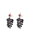 Roger Vivier Earrings
