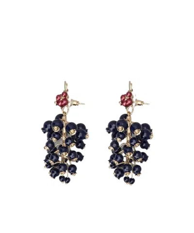 Roger Vivier Earrings
