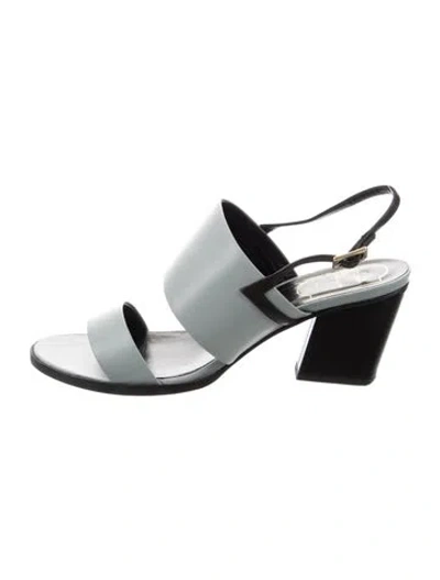 Pre-owned Roger Vivier Leather Slingback Sandals In Multi