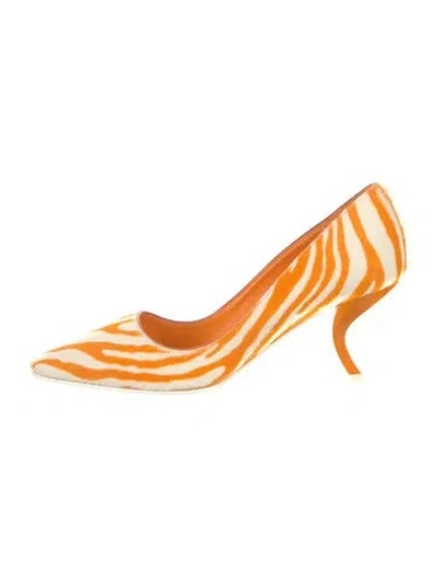 Pre-owned Roger Vivier Printed Pumps In Multicolor
