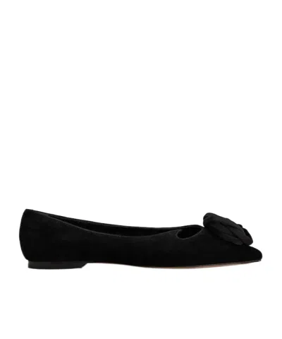 Roger Vivier Rose Vivier Ballerinas In Suede In Black