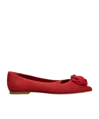 Roger Vivier Rose Vivier Ballerinas In Suede In Multi