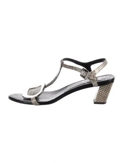 Pre-owned Roger Vivier Snakeskin Animal Print T-strap Sandals In Gray