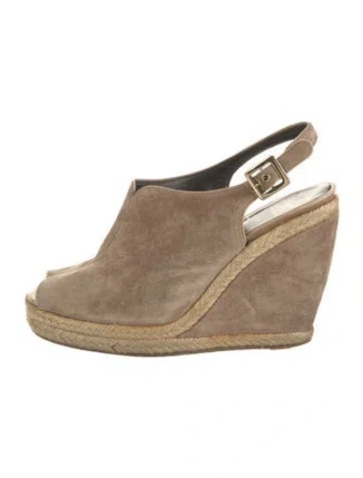 Pre-owned Roger Vivier Suede Espadrilles In Brown
