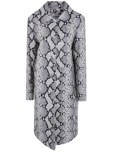 Rohe Coat Snakeskin Snakeskin In Brown