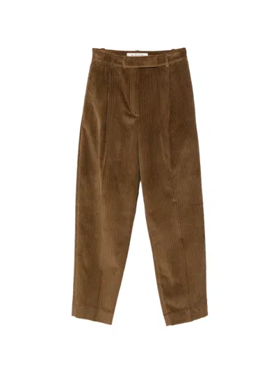 Rohe Pleated Corduroy Trousers In Brown
