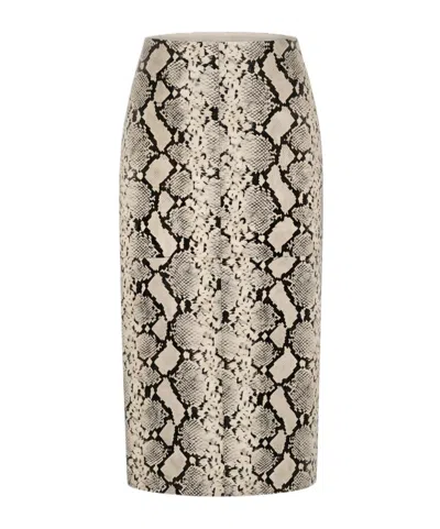 Rohe Printed Skirt In Gray