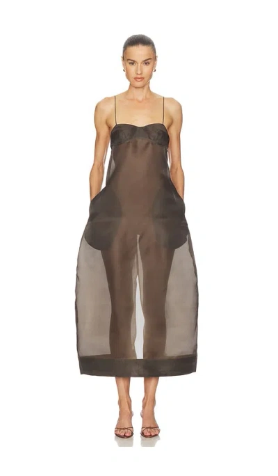 Rohe Sheer Bustier Volume Dress In Brown