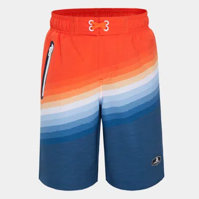 Rokka&rolla Kids' Boys' 4-way Stretch Board Swim Trunks In Multi