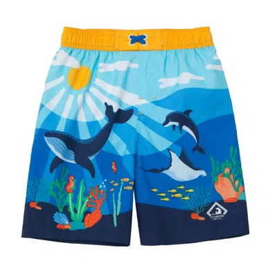 Rokka&rolla Kids' Toddler Boys' Swim Trunks In White