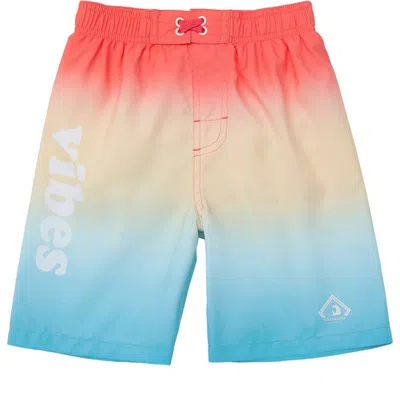 Rokka&rolla Babies'  Toddler Swim Trunks With Mesh Lining Upf 50+ In Peach Vibes