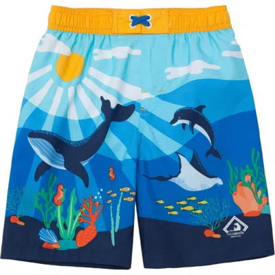 Rokka&rolla Babies'  Toddler Swim Trunks With Mesh Lining Upf 50+ In Under The Sea