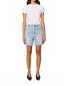 Rolla's 90s Relaxed Short In Longbeach In Multi