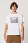 Rolla's Angus Classic Tee In Angus Classic Tee