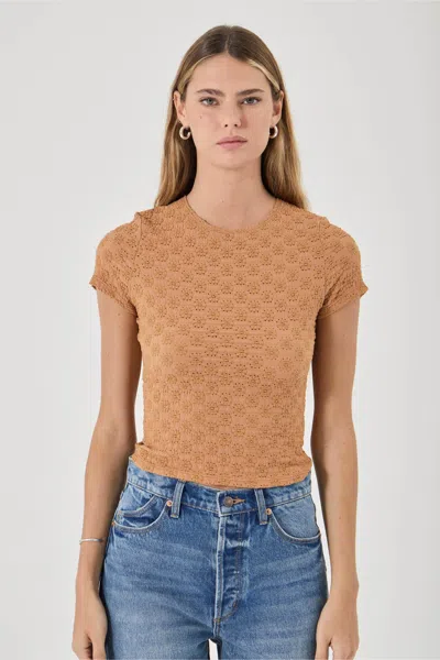Rolla's Daisy Lace Tee In Brown