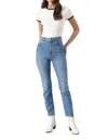 Rolla's Dusters High Rise Jean In Cyprus In Multi