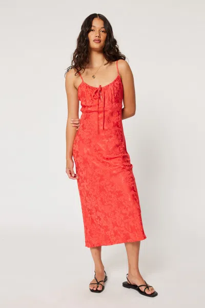 Rolla's Georgie Slip Jacquard In Cherry