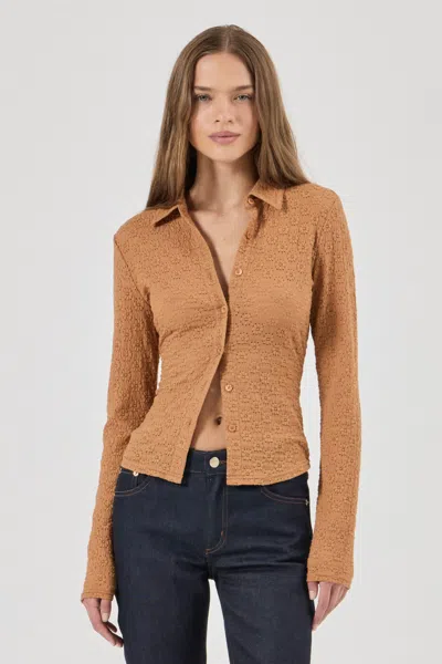 Rolla's Jeans Daisy Lace Long Sleeve Shirt In Brown