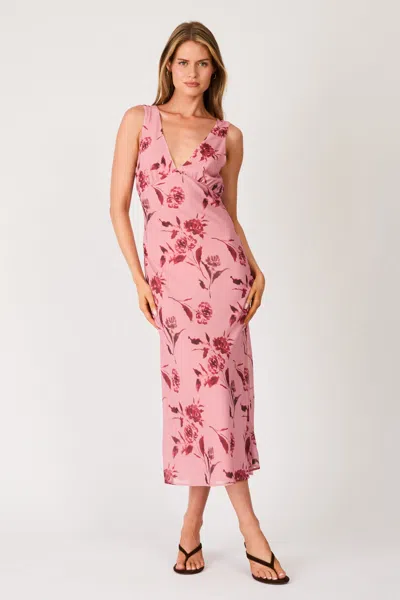 Rolla's Jeans Us Floral Valley Dress