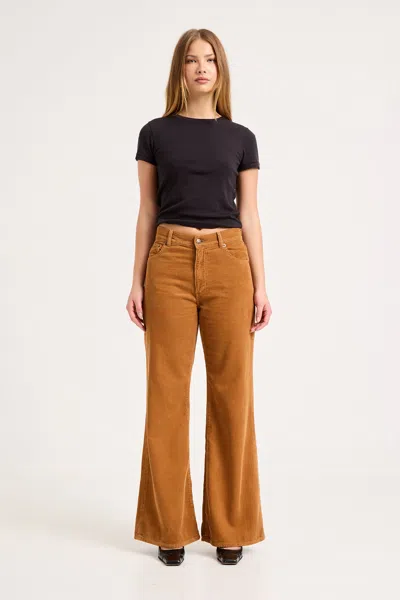 Rolla's Jeans Us Jane Aline Jean In Caramel Cord