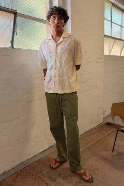 Rolla's Jeans Us Supply Pants In Pine