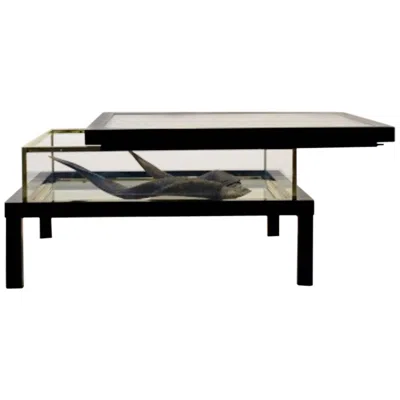 Pre-owned Romeo Rega Modernist  Sliding Top Brass Coffee Table In Black