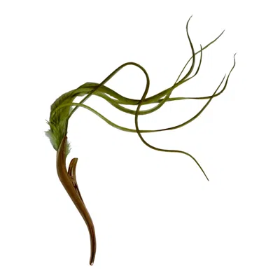 Romer Millinery Women's Feather Clip For Hats, Turbans, Hair Or Lapel Xl Green