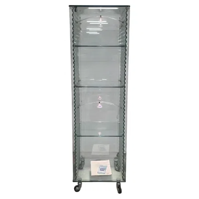Pre-owned Ron Arad Wave Series Showcase By  For Fiam In Gray